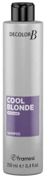 Шампунь з антижовтим ефектом для домашнього догляду / DECOLOR B COOL BLONDE SHAMPOO / Framesi купить