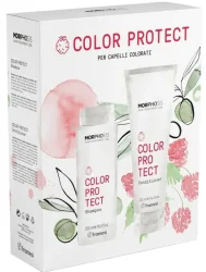 Набор для окрашенных волос / Набор Color Protect / Framesi купить