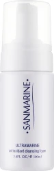 Антиоксидантная пенка для очищения / ANTIOXIDANT CLEANSING FOAM / Sanmarine купить