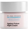 Укрепляющий ночной антивозной крем / Ageless Future Night Cream / Dr. Schrammek купить