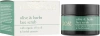 Скраб с органическим маслом оливы /  Olive & Herbs Scrub / Yellow Rose купить