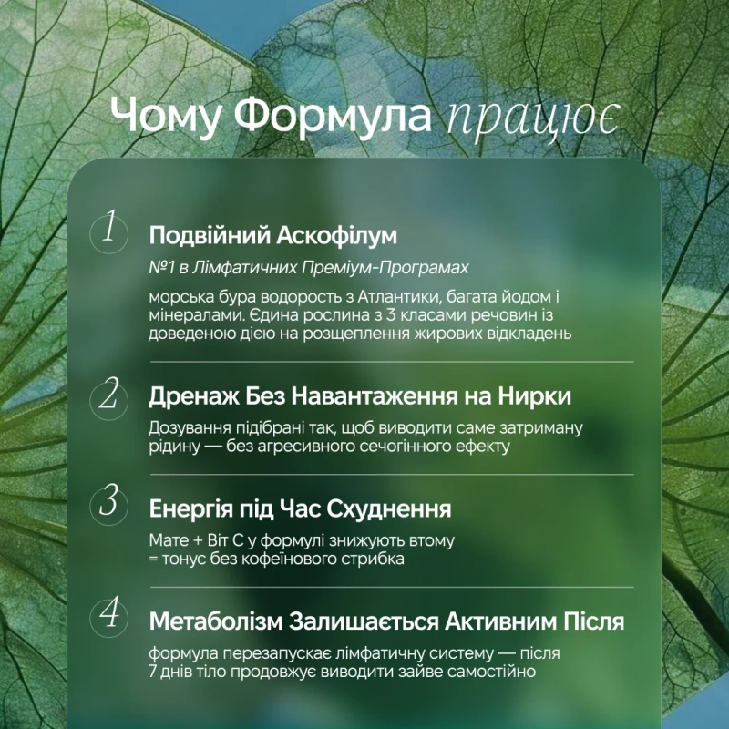 DRAIN slim – 7-дневный дренаж / Revive & Thrive купить