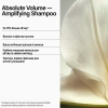 Шампунь «Абсолютный объем» / NEW Care Absolute Volume Shampoo / Keune купить