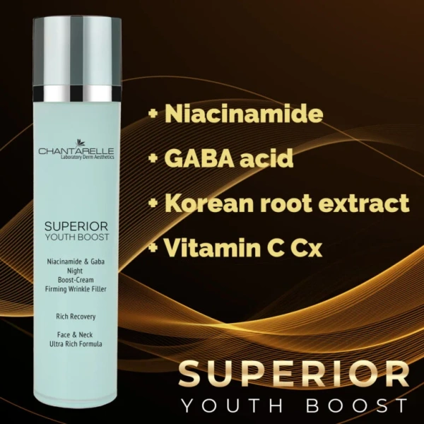 Нічний крем Boost з ніацинамідом та ГАМК-кислотою / Niacinamide&Gaba Night Boost-Cream / Chantarelle купить