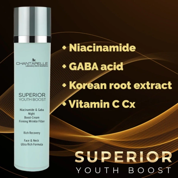 Ночной крем Boost с ниацинамидом и ГАМК-кислотой / Niacinamide&Gaba Night Boost-Cream / Chantarelle купить