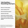 Шампунь «Основное питание» / NEW Vital Nutrition Shampoo / Keune купить
