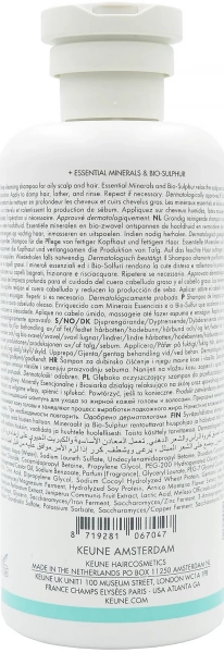 Шампунь себорегулюючий Shampoo Derma Regulating / Keune купить