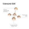 Антиоксидант, восстанавливающий энергию / Coenzyme Q10 / Biocyte купить