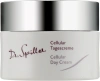 Омолоджуючий денний крем Cellular / CELLULAR DAY CREAM / Dr. Spiller купить