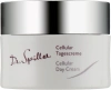 Омолаживающий дневной крем Cellular / CELLULAR DAY CREAM / Dr. Spiller купить