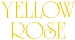 Yellow Rose