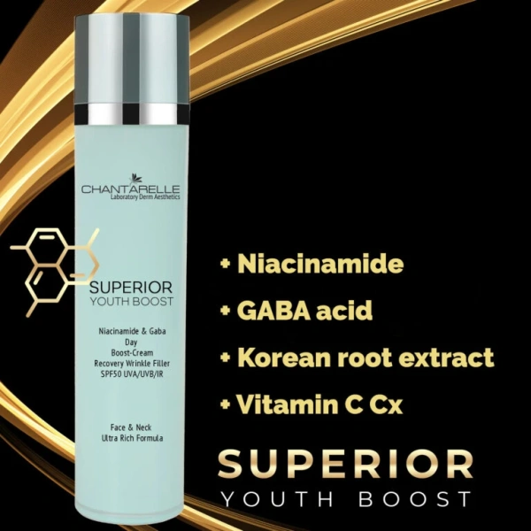 Дневной крем Boost SPF50 / Niacinamide&Gaba Day Boost Cream SPF-50 / Chantarelle купить