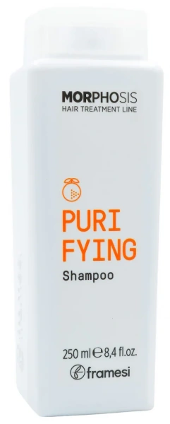 Шампунь проти лупи / Morphosis Purifying Shampoo / Framesi купить