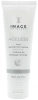 Обновляющая маска тройного действия / AGELESS Total Resurfacing Masque / Image Skincare купить