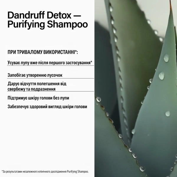 Шампунь проти лупи / Dandruff Detox Shampoo / Keune купить
