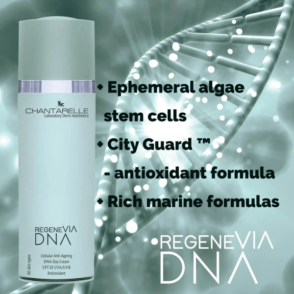 Омолаживающий и антиоксидантный дневной крем SPF 20 / CELLULAR ANTI-AGEING DNA-Day Cream SPF20  / Chantarelle купить