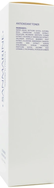 Антиоксидантний тонік / ANTIOXIDANT TONER / Sanmarine купить