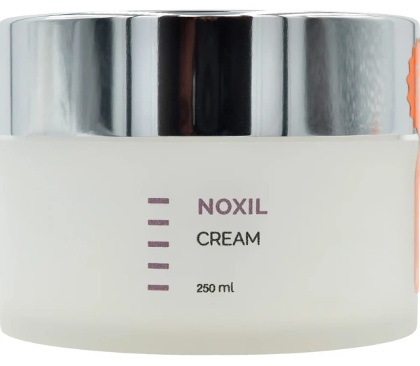 Крем для жирної проблемної шкіри / NOXIL CREAM / Holy Land купить