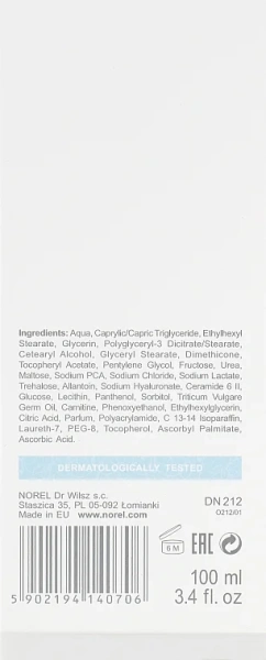 Активно зволожуюча гіалуронова маска / Active Moisturizing Hyaluronic Mask / Norel купить